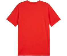 Puma Team Goal Casuals marškinėliai M 658615 01