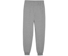 Puma Team Goal Jr kelnės 658601 06