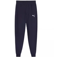 Puma Team Goal Jr kelnės 658601 06