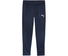 Puma Team Goal treniruočių kelnės M 658639 06