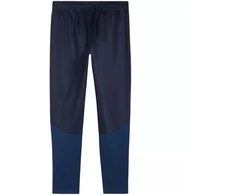 Puma Team Goal treniruočių kelnės M 658639 06