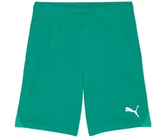 Puma Team Goal vyriški šortai, žali 705752 05