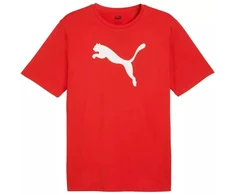 Puma Team Rise Logo Jersey Cotton M 658705 01