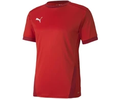 Puma teamGOAL 23 Džersis M 704171 01