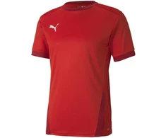 Puma teamGOAL 23 Džersis M 704171 01