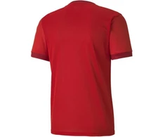 Puma teamGOAL 23 Džersis M 704171 01