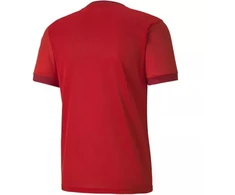 Puma teamGOAL 23 Džersis M 704171 01