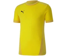 Puma teamGOAL 23 Džersis M 704171 07