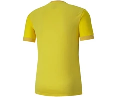 Puma teamGOAL 23 Džersis M 704171 07
