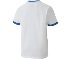 Puma teamGOAL 23 marškinėliai Jr 704160 12