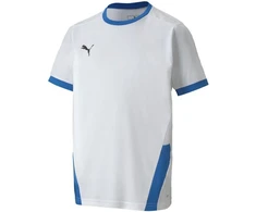 Puma teamGOAL 23 marškinėliai Jr 704160 12
