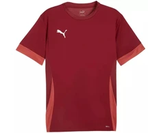 Puma teamGoal Matchday Džersis Vyriškas Bordo 705747 09
