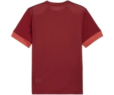 Puma teamGoal Matchday Džersis Vyriškas Bordo 705747 09