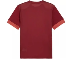 Puma teamGoal Matchday Džersis Vyriškas Bordo 705747 09