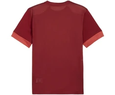 Puma teamGoal Matchday Džersis Vyriškas Bordo 705747 09