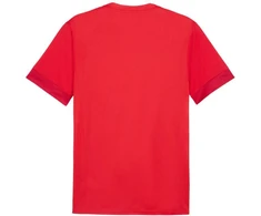 Puma teamGoal Matchday Jersey M 705747 01