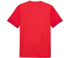 Puma teamGoal Matchday Jersey M 705747 01