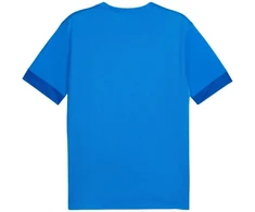 Puma teamGoal Matchday Jersey M 705747 02