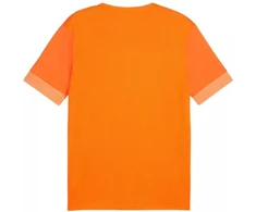 Puma teamGoal Matchday Jersey M 705747 08