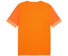 Puma teamGoal Matchday Jersey M 705747 08