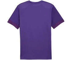 Puma teamGoal Matchday Jersey M 705747 10
