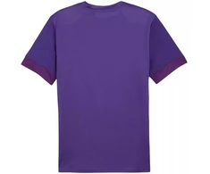 Puma teamGoal Matchday Jersey M 705747 10