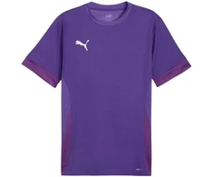 Puma teamGoal Matchday Jersey M 705747 10