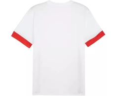 Puma teamGoal Matchday Jersey M 705747 11