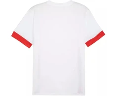 Puma teamGoal Matchday Jersey M 705747 11