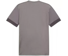Puma teamGoal Matchday Jersey M 705747 13