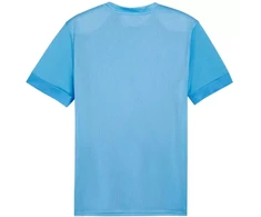 Puma teamGoal Matchday Jersey M 705747 18