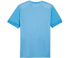 Puma teamGoal Matchday Jersey M 705747 18