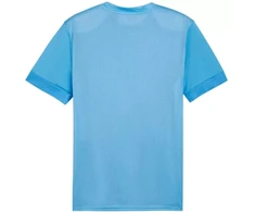 Puma teamGoal Matchday Jersey M 705747 18