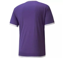 Puma teamLIGA Jersey M 704917 10