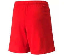 Puma teamLIGA Jr 704931 01 šortai