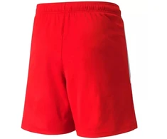 Puma teamLIGA Jr 704931 01 šortai