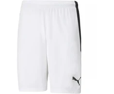 Puma teamLIGA M 704924 04 šortai