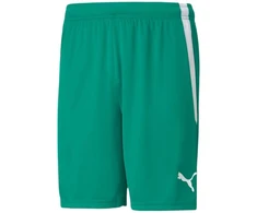 Puma teamLiga M 704924 05 šortai