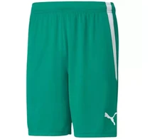 Puma teamLiga M 704924 05 šortai
