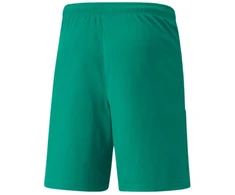 Puma teamLiga M 704924 05 šortai