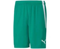 Puma teamLiga M 704924 05 šortai