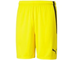Puma teamLIGA M 704924 07 šortai