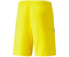 Puma teamLIGA M 704924 07 šortai