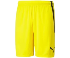 Puma teamLIGA M 704924 07 šortai