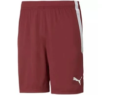 Puma teamLIGA M 704924 09 šortai