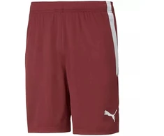 Puma teamLIGA M 704924 09 šortai