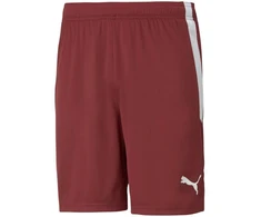 Puma teamLIGA M 704924 09 šortai