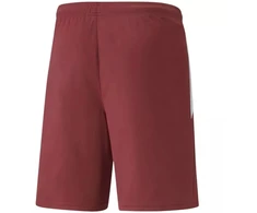 Puma teamLIGA M 704924 09 šortai