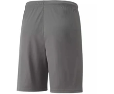 Puma teamLIGA M 704924 13 šortai