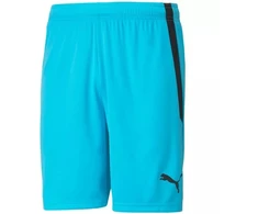 Puma teamLIGA M 704924 40 šortai